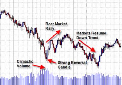 bear-market-rally.JPG