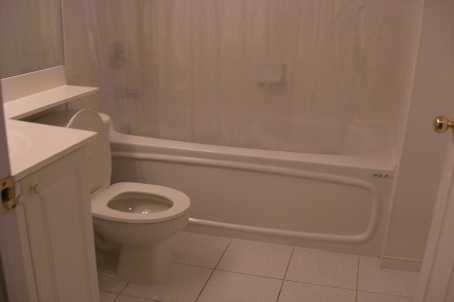 toilet5.jpg