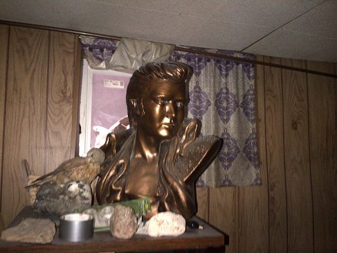 ElvisBust